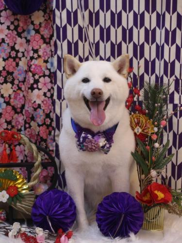 20250116タローくん